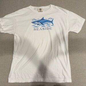 Comfort Colors White and Blue Kids Tee